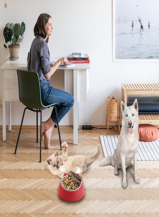 Western Era Pet Steel & Plastic Ear Shape Tilted Bowl - Interactive Pet Feeder, Promotes Healthy Eating, Mental Stimulation, Design for Healthy Eating, Fun Design for Cats, Dogs, Ideal for All Pets - Image 5